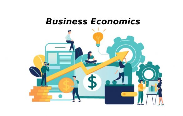 What is Business Economics? – Relationships, Types, and More