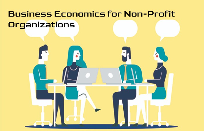 Business Economics for Non-Profit Organizations