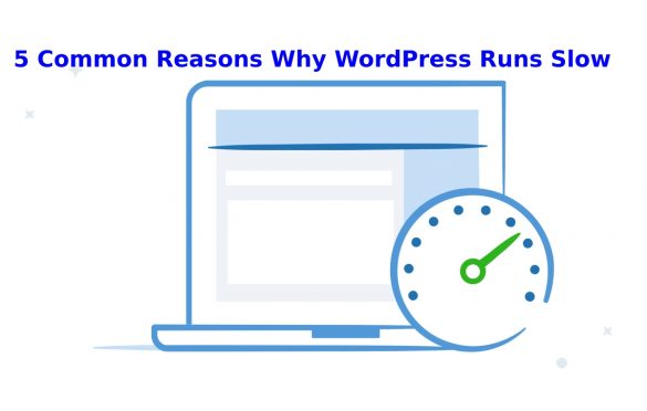  5 Common Reasons Why WordPress Runs Slow