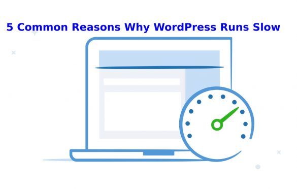 5 Common Reasons Why WordPress Runs Slow