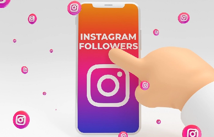 What are Instagram Followers?