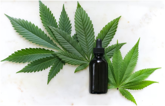 cbd consumption