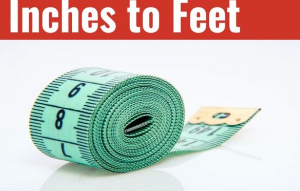  How Much are 55.5 Inches to Feet?
