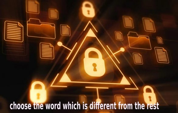 Choose The Word Which Is Different From The Rest-Breif Summary Report