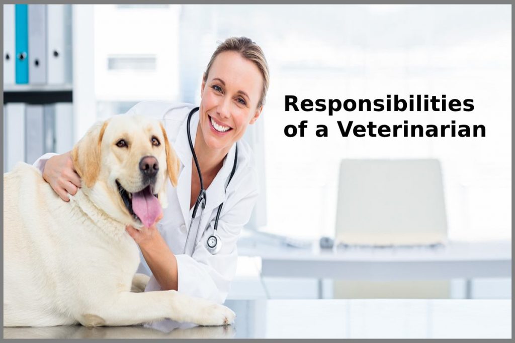 Responsibilities of a Veterinarian