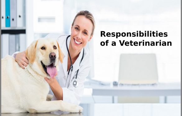 Responsibilities of a Veterinarians