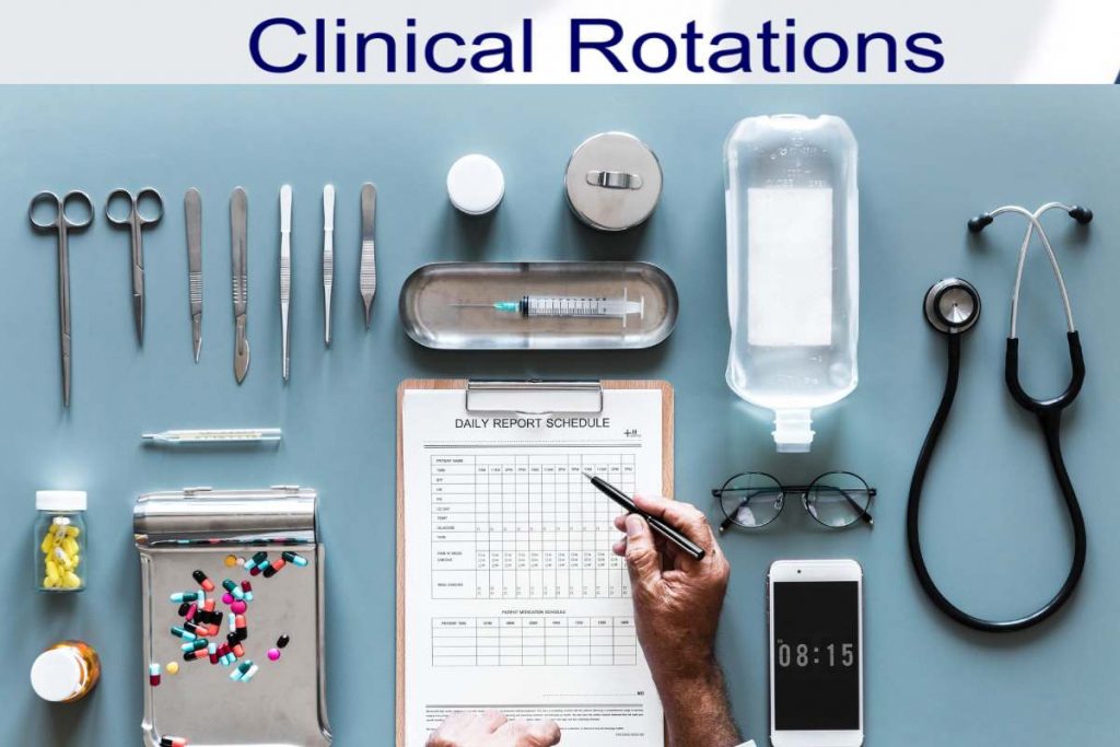Seven Things Nobody Told You About the Clinical Rotations