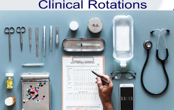 Seven Things Nobody Told You About the Clinical Rotations