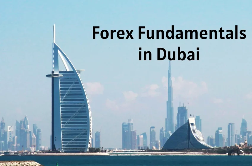  Forex Fundamentals in Dubai
