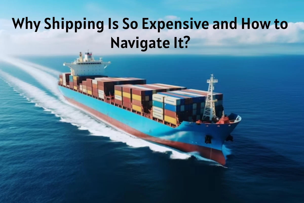 Why Shipping Is So Expensive and How to Navigate It?