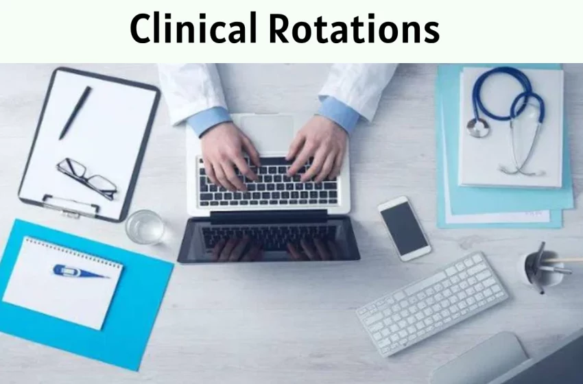  Seven Things Nobody Told You About the Clinical Rotations