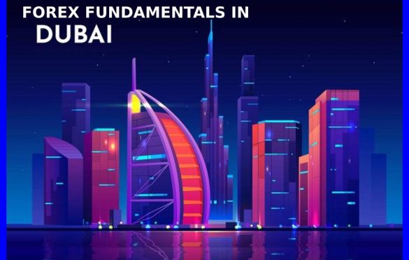  Forex Fundamentals in Dubai