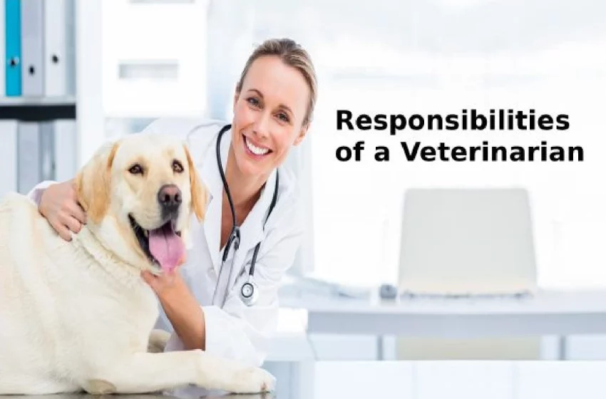  Responsibilities of a Veterinarians