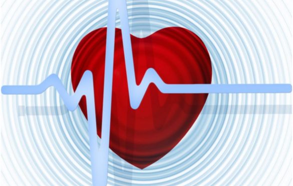 HeartIn Project to Analyze the Health of Soccer Players