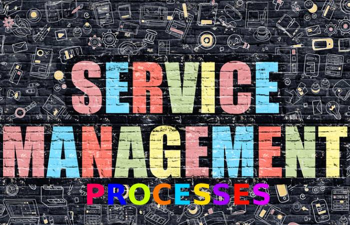 What are the Main Service Management Processes or Practices?