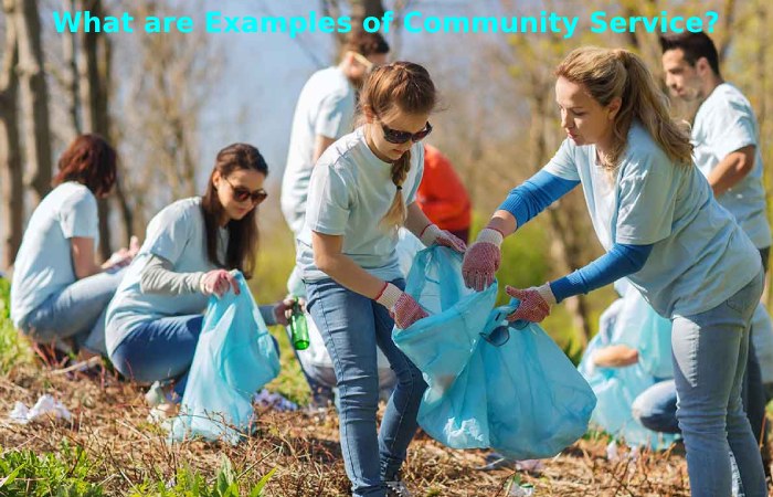 What are Examples of Community Service?