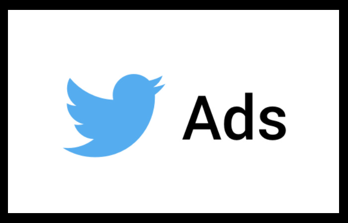 Twitter Video Ads