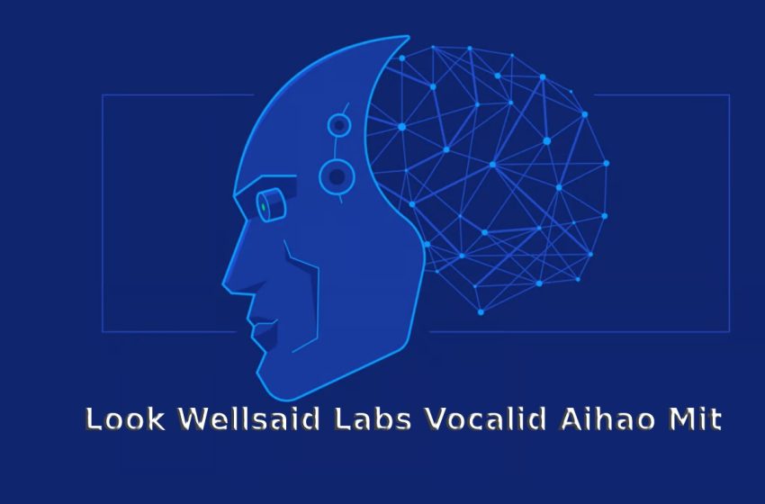  Look Wellsaid Labs Vocalid Aihao Mit –  Full Details
