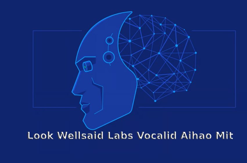 Look Wellsaid Labs Vocalid Aihao Mit – Full Details