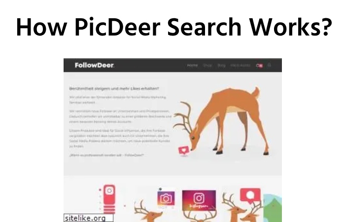 How PicDeer Search Works?          
