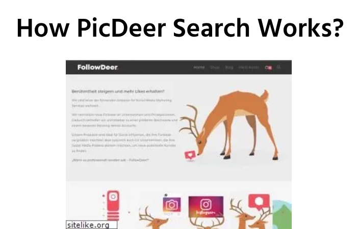 How PicDeer Search Works?