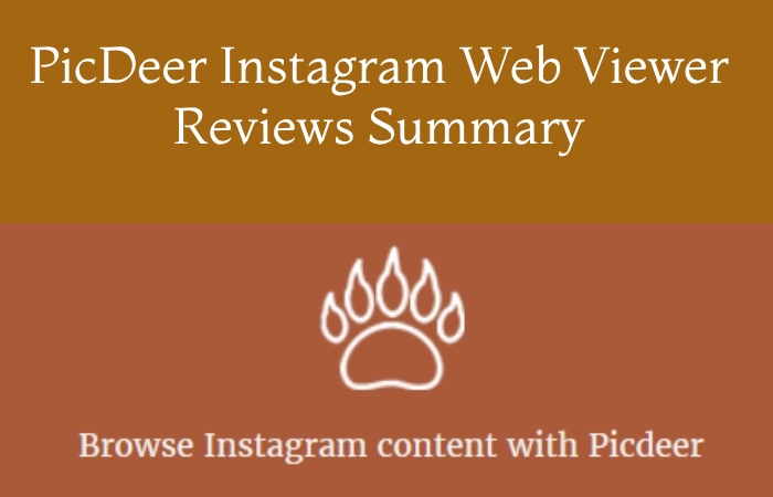 PicDeer Instagram Web Viewer Reviews Summary