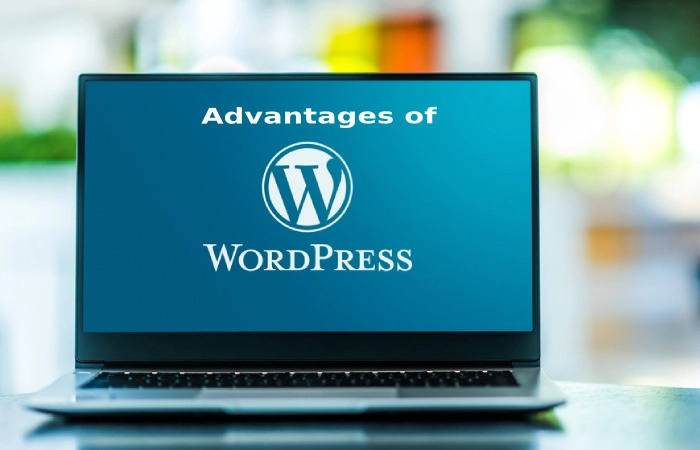 Advantages of using WordPress