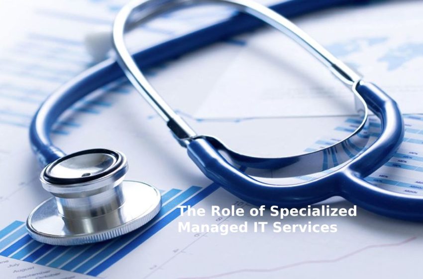 Enhancing Healthcare Delivery: The Role of Specialized Managed IT Services
