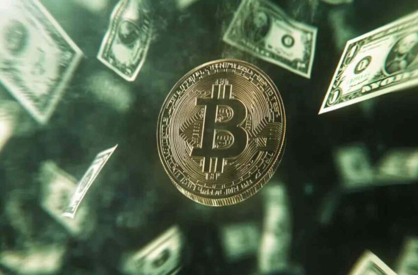 Cryptocurrency Prices: How Do they Change, and What is ATH?